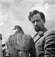 A falconer and bird, Windsor Royal Show, Windsor Great Park, c1946-c1959