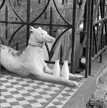 Stone greyhound and milk bottles, Duncan Terrace, Islington, London, 1962-1964