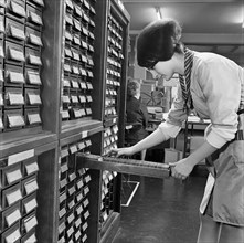 Woman looking through index cards, Medical Mailing Company, Ealing, London, 1960-1970