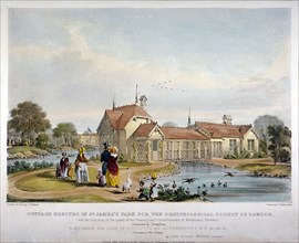 Cottage erected in St James's Park for the Ornithological Society of London, Westminster, 1844. Artist: John Burges Watson