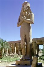 Colossal statue, Karnak, Egypt. Creator: Tony Evans.