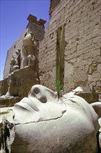 Fallen head from a colossal statue, Luxor, Egypt. Artist: Tony Evans