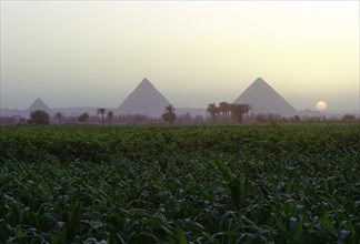 Pyramids of Giza at sunset, Egypt. Artist: Dr Stephen Coyne