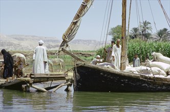 Felucca on the River Nile, Egypt. Artist: Tony Evans