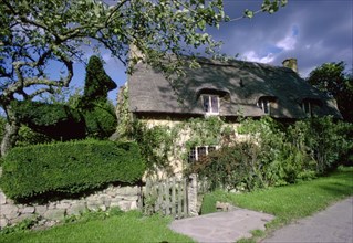 The Old Thatch, cottage, Stanway, Gloucestershire. Artist: Tony Evans