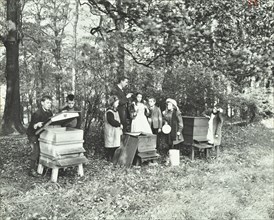 Children feeding bees for the winter, Shrewsbury House Open Air School, London, 1909. Artist: Unknown.
