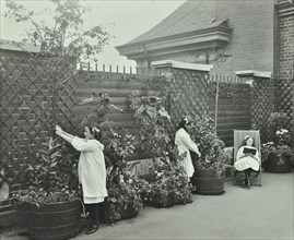Girls gardening and reading in a roof top garden, White Lion Street School, London, 1912. Artist: Unknown.