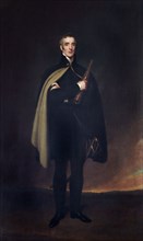 Portrait of the Duke of Wellington, 1860