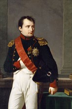 Detail of a portrait of Napoleon Bonaparte, 1812