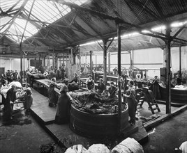 Waring & Gllow munitions factory, White City, Hammersmith and Fulham, London, August 1916