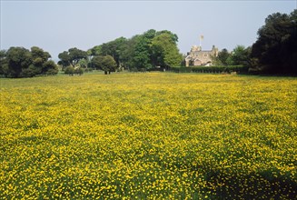 Walmer Castle Meadow, Kent