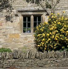 Stone mullioned cottage window, Lower Slaughter, Cotswolds, Gloucestershire