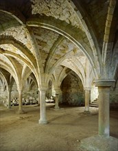 Vaulted roof of the monks' common room, Battle Abbey, East Sussex