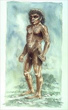 Boxgrove Man, Prehistoric, (1990-2010)