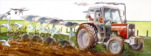Ploughing, c2010s