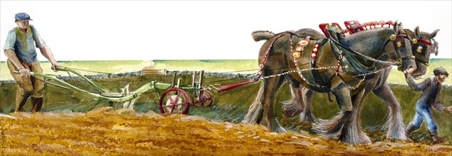 Ploughing, c1830-1900, (c1990-2010)