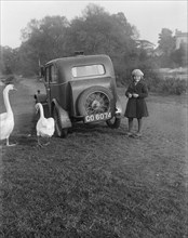 A young girl next to a motor car, probably an Austin 7, with two swans, c1930s