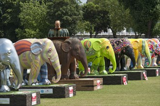 Elephant Parade, Royal Hospital, Chelsea, London, 2010
