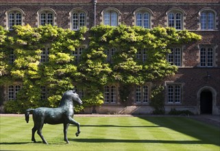 Bronze horse, sculpture by Barry Flanagan, Jesus College, Cambridge, Cambridgeshire, 2015