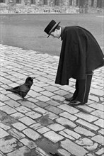 Beefeater bending down to address a raven, Tower of London, Tower Hill, London, late 1930s