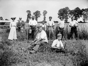 Harvest time, Cadsden, near Princes Risborough, Buckinghamshire, 1903