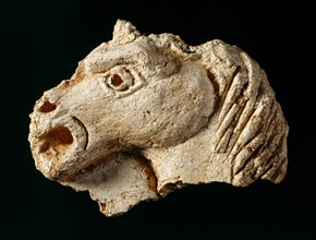 Plaster fragment of a horse's head from one of the ceilings, Berry Pomeroy Castle, Devon