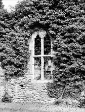 Window, Netley Abbey, Hampshire, 1890