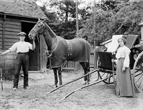 Horse and trap, c1896-c1920