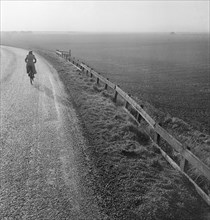 Woman cycling along a road raised up above the surrounding fenland, Cambridgeshire, early 1950s