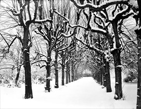 Lime walk in the snow, Trinity College, Oxford, Oxfordshire, 1880