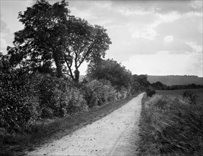 Hodcot Lane, West Ilsley, Berkshire, 1895