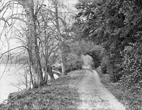 Track on the bank of the River Thames, Cliveden, Taplow, Buckinghamshire, 1883