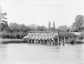 Eel traps on the River Thames, Bray, Berkshire, 1885