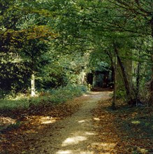 Sandwalk path, Down House, Downe, Kent, c1980-c2017