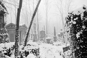 Highgate Cemetery, Hampstead, London, winter 1982