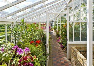 Interior of the greenhouse in the gardens of Walmer Castle, Kent, c1980-c2017