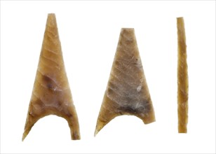 Flint arrowheads from Marden Henge excavations, Wiltshire, 2010