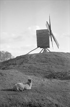 Brill Windmill, Buckinghamshire, 1934
