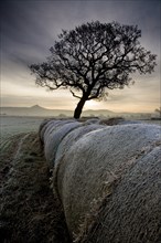 Morton Carr and Roseberry Topping, North Yorkshire, 2008