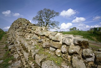 Hadrian's Wall, Willowford, Northumberland, 2010
