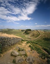 Hadrian's Wall, Northumberland, 2010