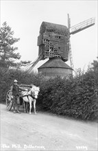 Billericay Windmill, Essex, c1900