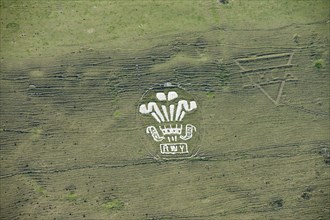 Chalk military badges, Fovant Down, Wiltshire, 2015