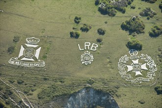 Chalk military badges, Fovant Down, Wiltshire, 2015