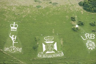 Chalk military badges, Fovant Down, Wiltshire, 2016