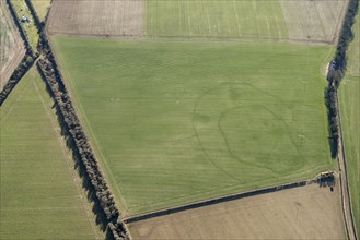 Iron Age double ditched enclosure crop mark, near South Wonston, Hampshire, 2018