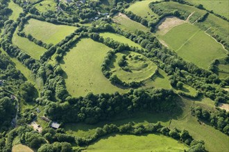 Earthwork remains of a motte and bailey castle near Powerstock, Dorset, 2014