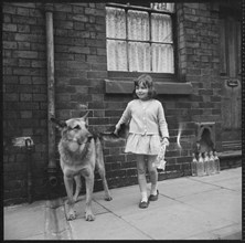 Girl and dog, Middleport, Burslem, Stoke-on-Trent, Staffordshire, 1965-1968