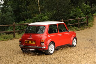 Rover Mini Cooper works 1998. Artist: Simon Clay.