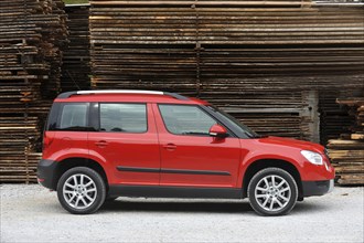 Skoda Yeti 2009. Artist: Simon Clay.